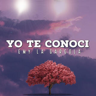 Yo Te Conocí lyrics | Boomplay Music