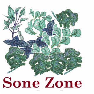 Sone Zone