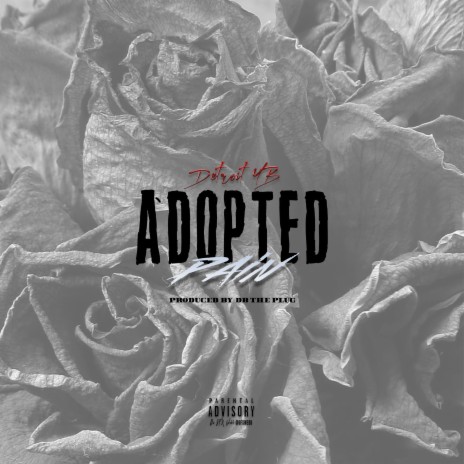 Adopted Pain | Boomplay Music
