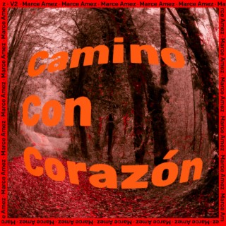 Camino con corazón (remix)