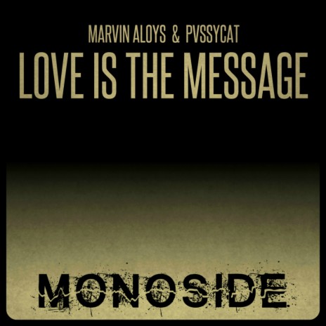 Love Is The Message (Original Mix) ft. PvssyCat | Boomplay Music