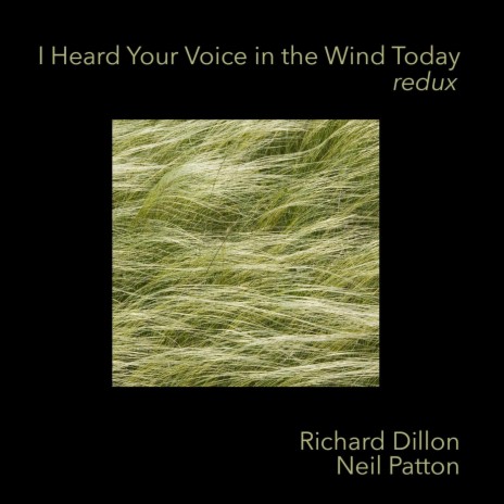 I Heard Your Voice in the Wind Today Redux | Boomplay Music