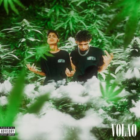 Volao ft. Mario OG & Brian skriplo | Boomplay Music