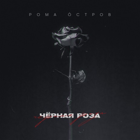 Чёрная роза | Boomplay Music