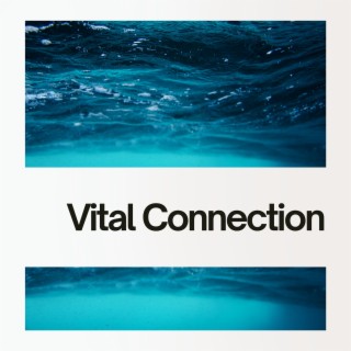 Vital Connection to Aquatic Realms