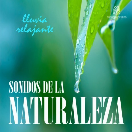 Sonidos de la Naturaleza: Lluvia Relajante, Pt. 03 ft. Lluvia para Dormir & Sueño Profundo Club