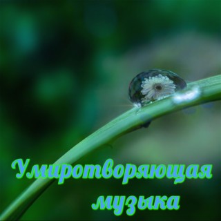 Умиротворяющая музыка