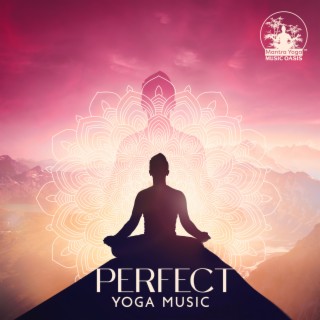 Perfect Yoga Music: Relaxing Music, Sleep, Yoga, Stress Relief