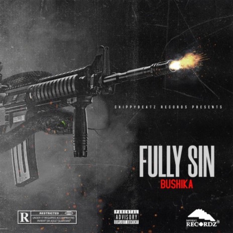 Fully Sin | Boomplay Music