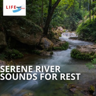 Serene River Sounds for Rest