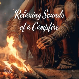 Relaxing Sounds of a Campfire