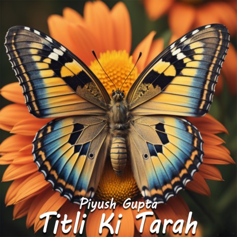 Titli Ki Tarah | Boomplay Music