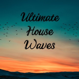 Ultimate House Waves: Tranquil Chillout Lounge Vibes