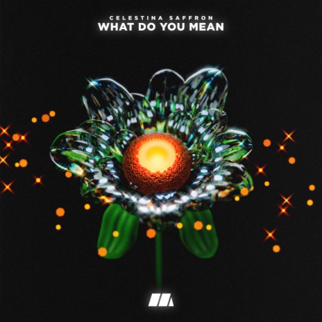 What Do You Mean | Boomplay Music