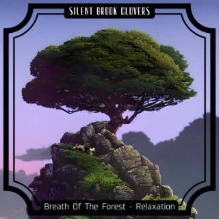 Breath of the Forest-Relaxation