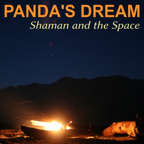 Shaman and the Space | Boomplay Music
