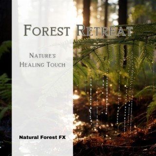 Forest Retreat: Nature's Healing Touch