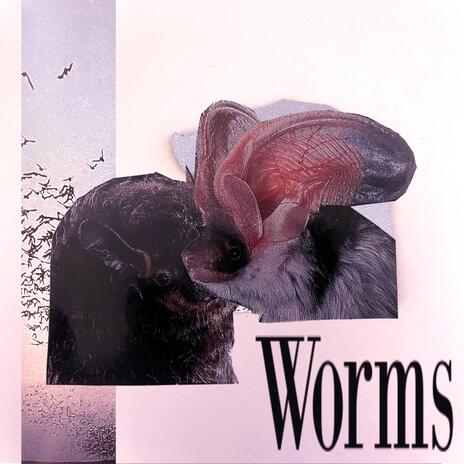 Worms | Boomplay Music