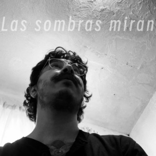 Las sombras miran