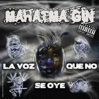 La voz que no se oye (2011)