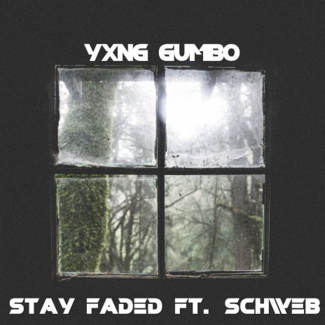 Stay Faded ft. Schweb | Boomplay Music
