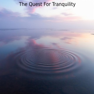 The Quest For Tranquility