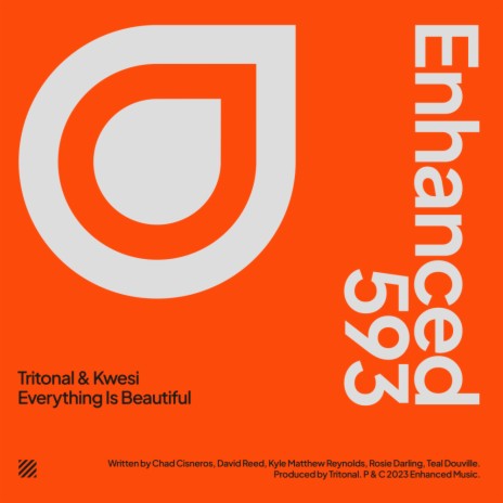 Everything Is Beautiful (Extended Mix) ft. Kwesi