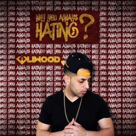 Why You Always Hating | Boomplay Music