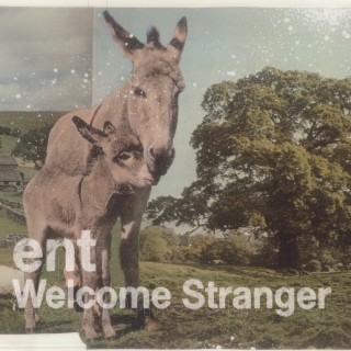 Welcome Stranger