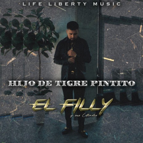 Hijo De Tigre Pintito (En Vivo) | Boomplay Music