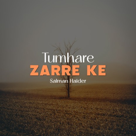 Tumhare Zarre Ke | Boomplay Music