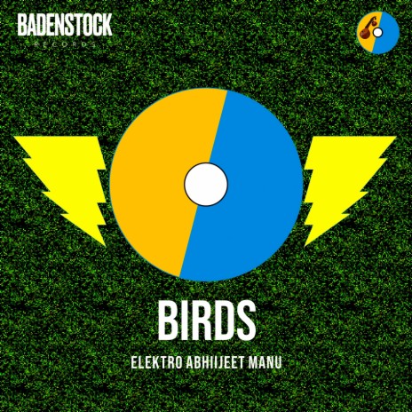 Birds | Boomplay Music