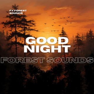 Good Night Forest Sounds