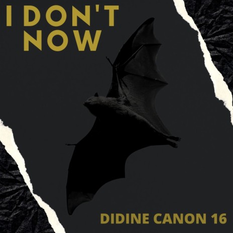 I Don't Now | Boomplay Music