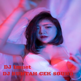 DJ RUNTAH CEK SOUND (feat. Mega)