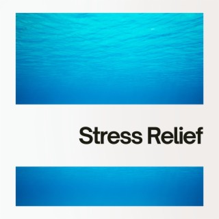 Stress Relief with Aquatic Ambience