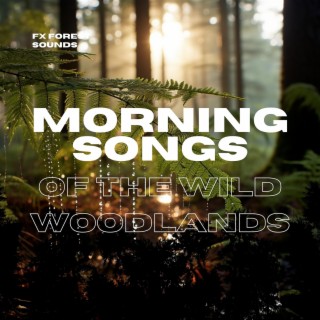 Morning Songs of the Wild Woodlands