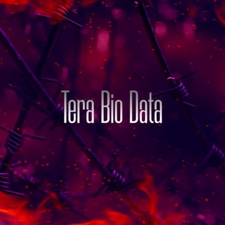Tera Bio Data ft. Amit Saini Rohtakiya & Raj Mawer | Boomplay Music