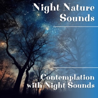 Contemplation with Night Sounds