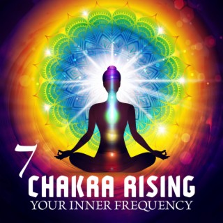 7 Chakra Rising Your Inner Frequency