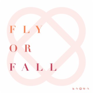 Fly or Fall lyrics | Boomplay Music