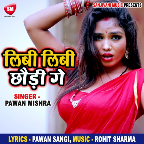 Libi Libi Chhaudi Ge | Boomplay Music