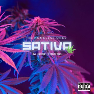 The Sativa