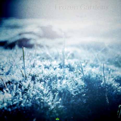 Frozen Gardens | Boomplay Music