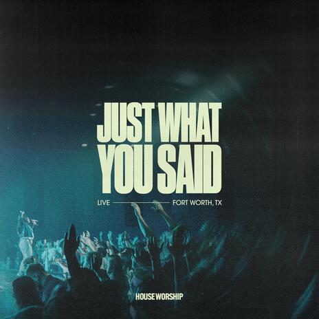 Just What You Said (Live) ft. Hailey Gonzalez | Boomplay Music