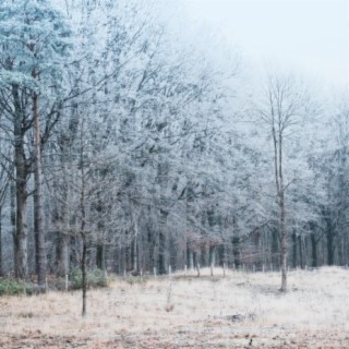 Frozen Leaves