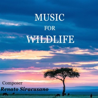 Music for Wildlife