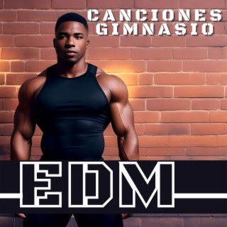 Canciones Gimnasio EDM: Mejor Música para Fitness y Workout