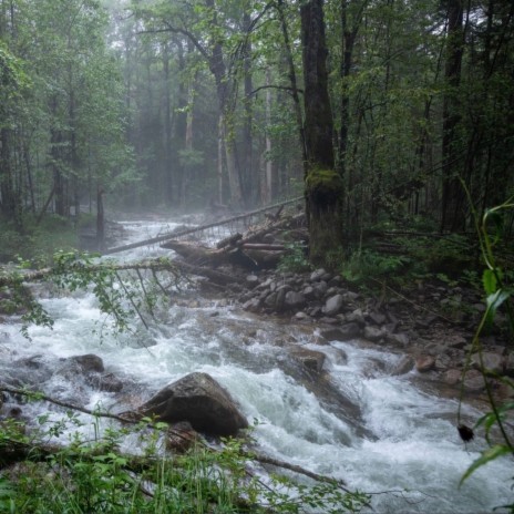 Camp by the Creek | Boomplay Music