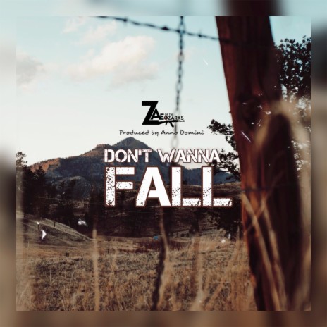 Don't Wanna Fall | Boomplay Music